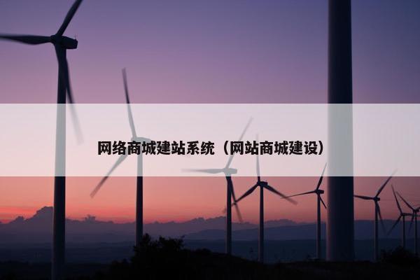网络商城建站系统（网站商城建设）