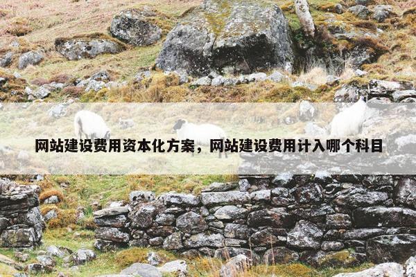 网站建设费用资本化方案，网站建设费用计入哪个科目