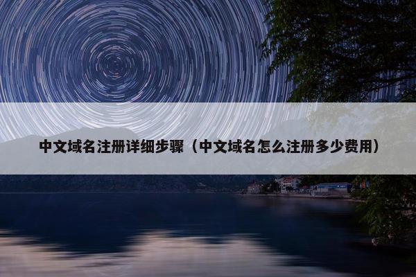 中文域名注册详细步骤（中文域名怎么注册多少费用）