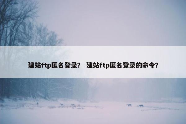 建站ftp匿名登录？ 建站ftp匿名登录的命令？