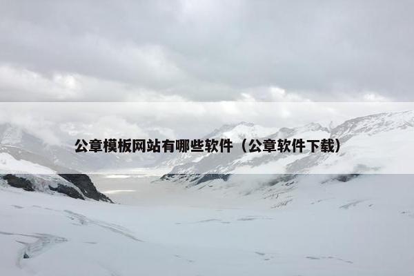 公章模板网站有哪些软件（公章软件下载）