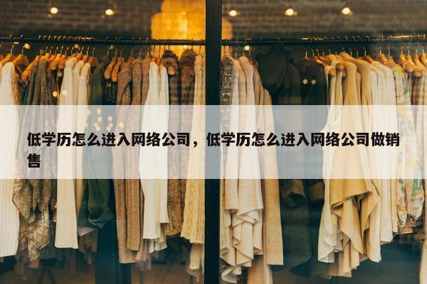 低学历怎么进入网络公司，低学历怎么进入网络公司做销售