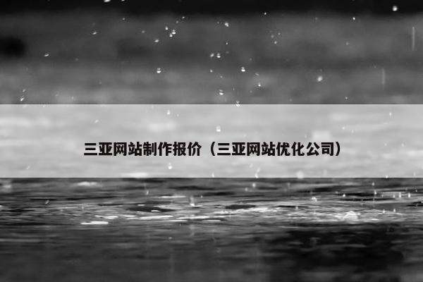 三亚网站制作报价（三亚网站优化公司）