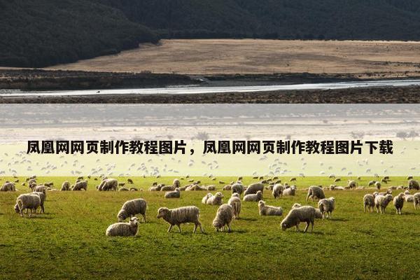 凤凰网网页制作教程图片，凤凰网网页制作教程图片下载