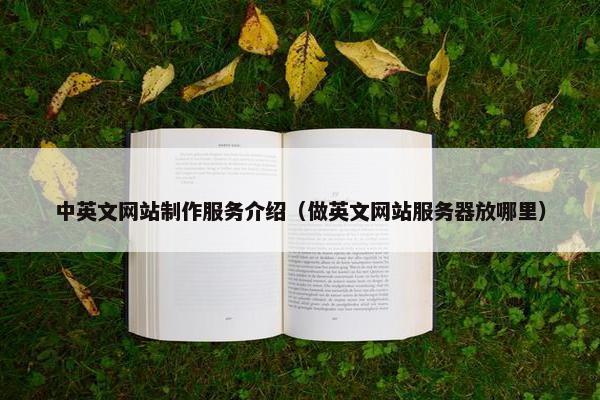 中英文网站制作服务介绍（做英文网站服务器放哪里）