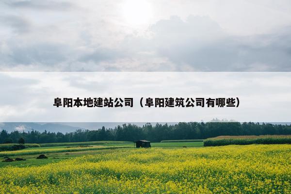阜阳本地建站公司（阜阳建筑公司有哪些）