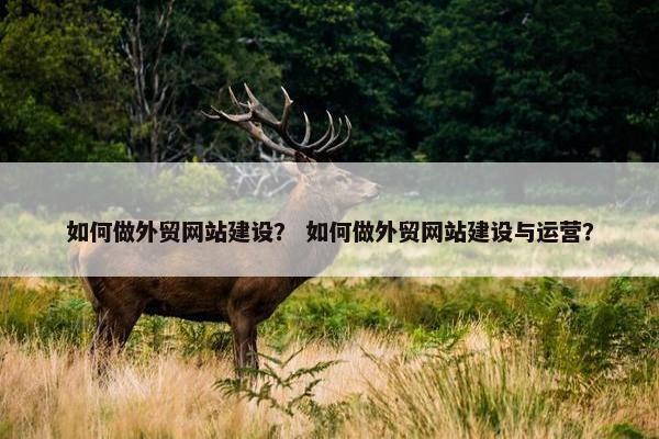 如何做外贸网站建设？ 如何做外贸网站建设与运营？