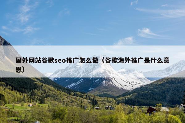 国外网站谷歌seo推广怎么做（谷歌海外推广是什么意思）