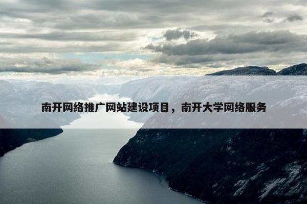 南开网络推广网站建设项目，南开大学网络服务