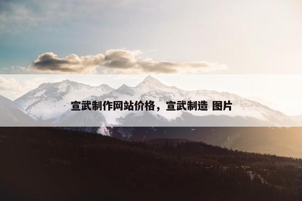 宣武制作网站价格，宣武制造 图片