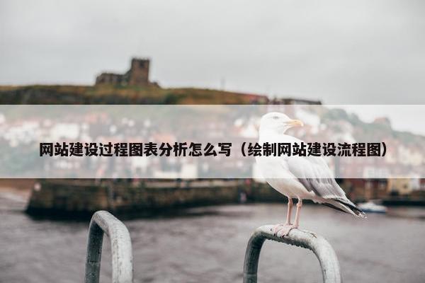 网站建设过程图表分析怎么写（绘制网站建设流程图）