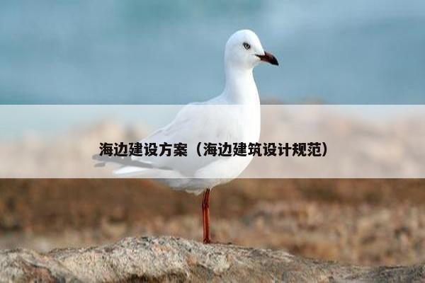 海边建设方案（海边建筑设计规范）