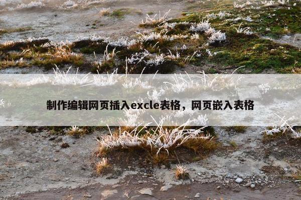 制作编辑网页插入excle表格，网页嵌入表格