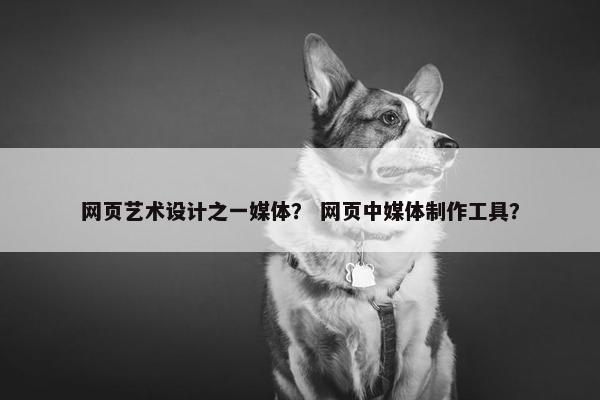 网页艺术设计之一媒体？ 网页中媒体制作工具？