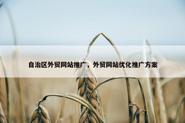 自治区外贸网站推广，外贸网站优化推广方案