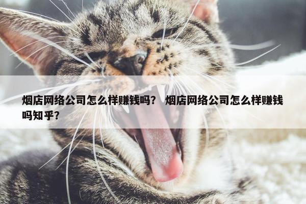烟店网络公司怎么样赚钱吗？ 烟店网络公司怎么样赚钱吗知乎？