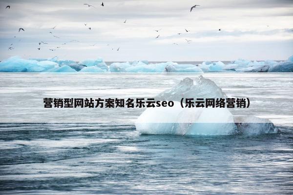营销型网站方案知名乐云seo（乐云网络营销）