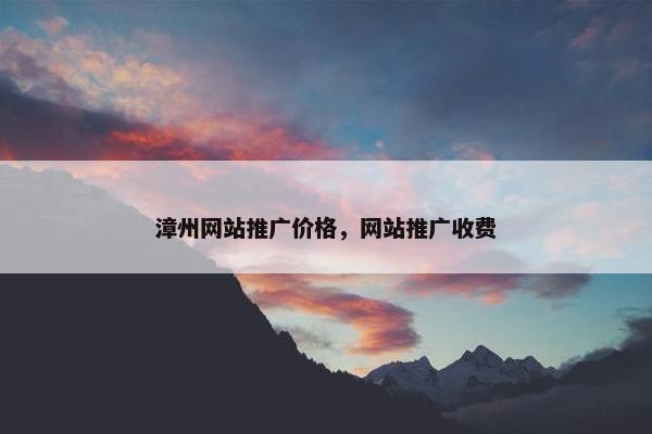 漳州网站推广价格，网站推广收费