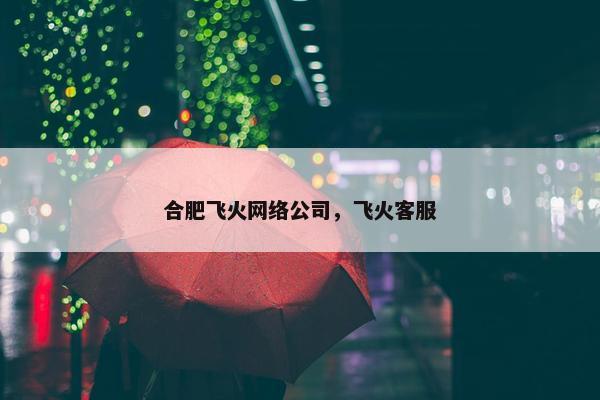 合肥飞火网络公司，飞火客服