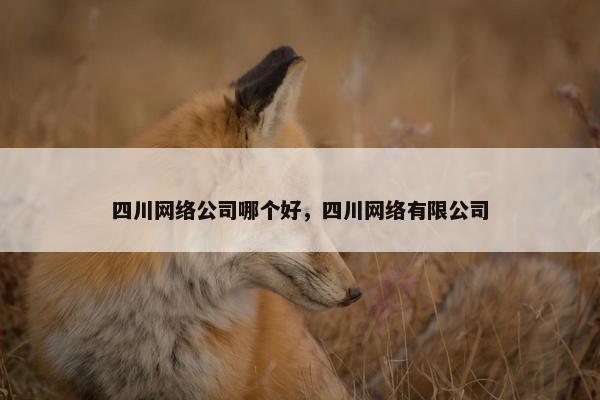 四川网络公司哪个好，四川网络有限公司