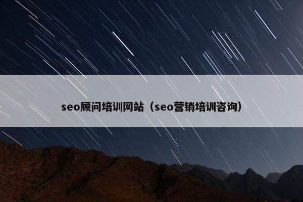 seo顾问培训网站（seo营销培训咨询）