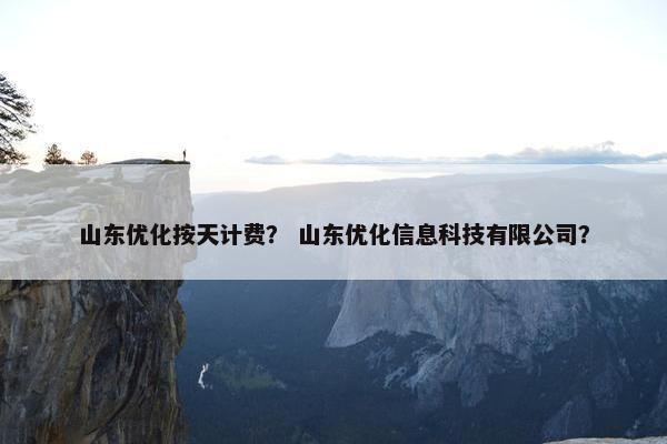 山东优化按天计费？ 山东优化信息科技有限公司？