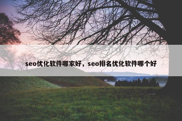 seo优化软件哪家好，seo排名优化软件哪个好