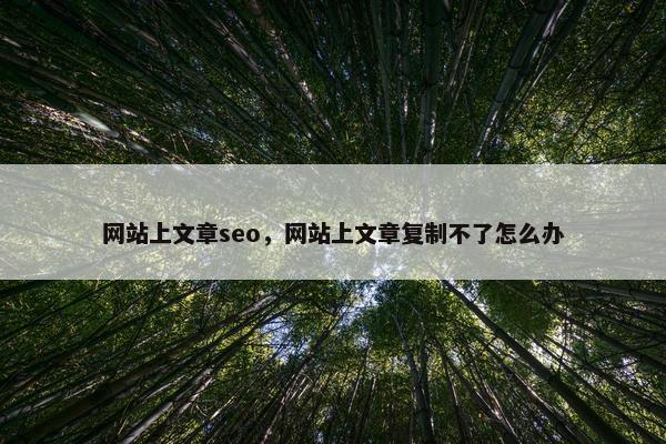 网站上文章seo，网站上文章复制不了怎么办