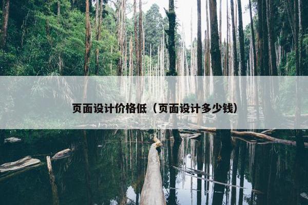 页面设计价格低（页面设计多少钱）