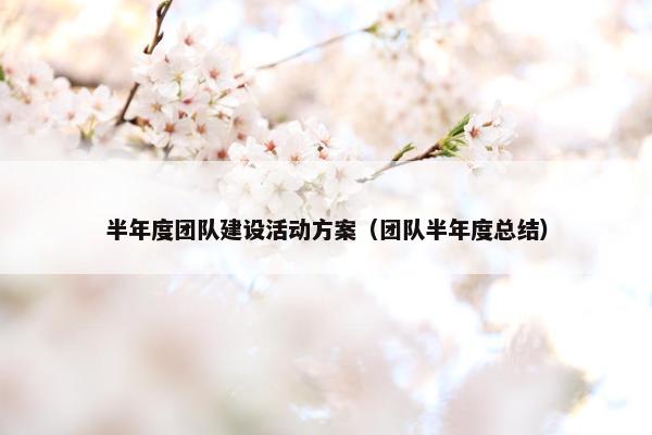 半年度团队建设活动方案（团队半年度总结）