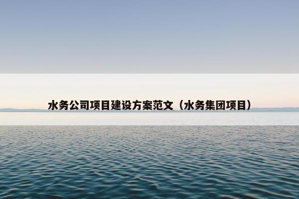 水务公司项目建设方案范文（水务集团项目）