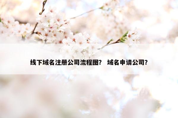 线下域名注册公司流程图？ 域名申请公司？