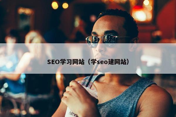 SEO学习网站（学seo建网站）