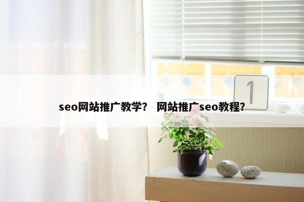 seo网站推广教学？ 网站推广seo教程？