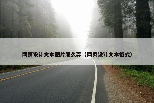 网页设计文本图片怎么弄（网页设计文本格式）