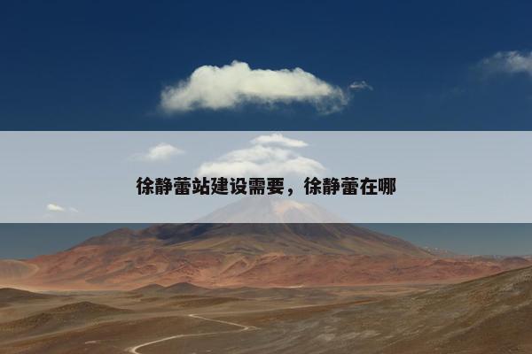 徐静蕾站建设需要，徐静蕾在哪