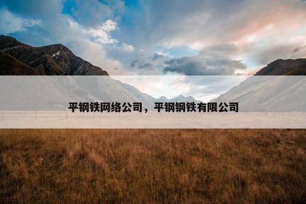 平钢铁网络公司，平钢钢铁有限公司