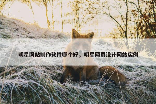 明星网站制作软件哪个好，明星网页设计网站实例