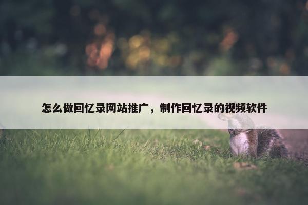 怎么做回忆录网站推广，制作回忆录的视频软件