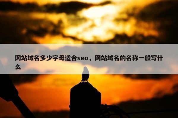 网站域名多少字母适合seo，网站域名的名称一般写什么