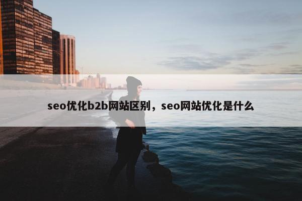 seo优化b2b网站区别，seo网站优化是什么