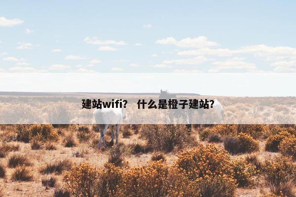 建站wifi？ 什么是橙子建站？