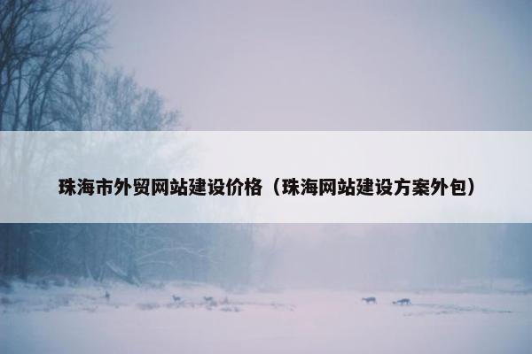 珠海市外贸网站建设价格（珠海网站建设方案外包）