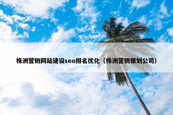 株洲营销网站建设seo排名优化（株洲营销策划公司）