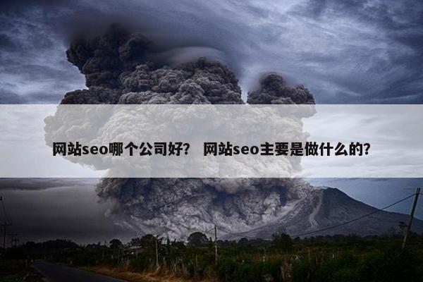 网站seo哪个公司好？ 网站seo主要是做什么的？