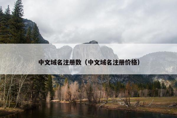 中文域名注册数（中文域名注册价格）
