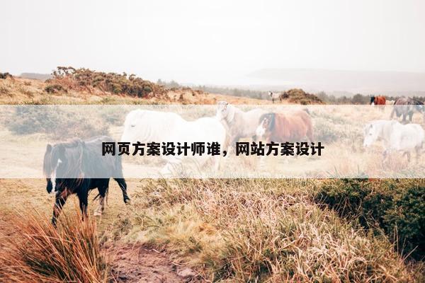 网页方案设计师谁，网站方案设计