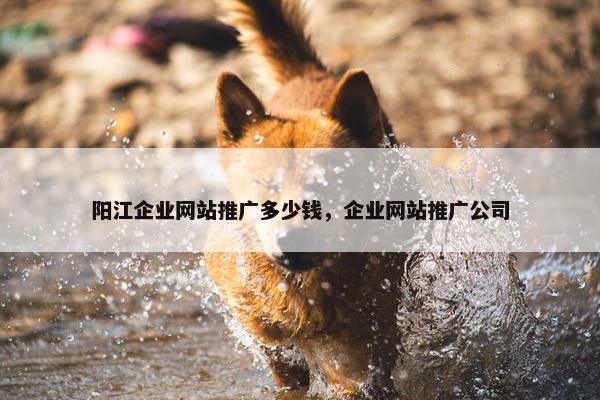阳江企业网站推广多少钱，企业网站推广公司
