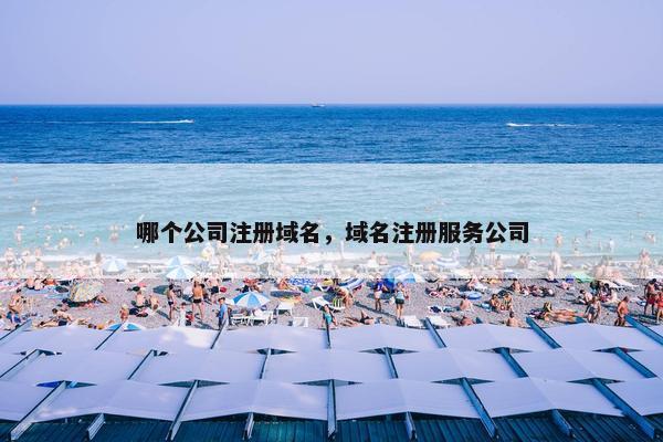 哪个公司注册域名，域名注册服务公司