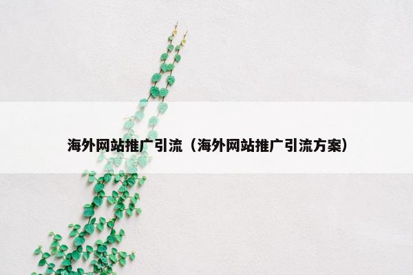 海外网站推广引流（海外网站推广引流方案）